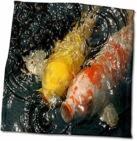 3. Двойката риби Кои с Отворена уста, Бяла Кърпа, 15 x 22