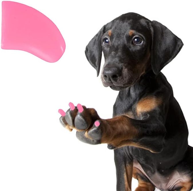 Pretty Claws 1 година доставя меки шапки за нокти с лепило за кучешки нокти - дъвченето на дъвка розов цвят, XXL