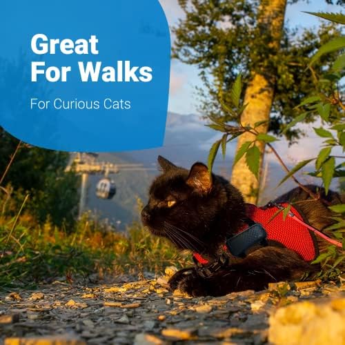 Щипка за колан за безопасност с GPS тракера Cat 4, за спокойна разходка с котка, Ленти велкро, черен